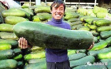 50条吃瓜,揭秘娱乐圈那些事儿