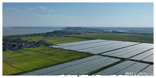 隔着屏幕吃瓜群众,揭秘“吃瓜群众”的虚拟狂欢