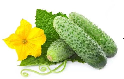 宋千千吃瓜系统,揭秘娱乐圈幕后风云