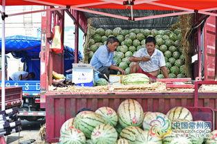 吃瓜区在线观看
