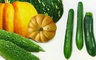 吃瓜老呐,网络红人的崛起与影响力