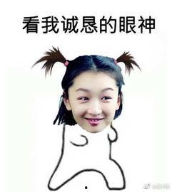 吃瓜小辫表情包下载,趣味横生的网络潮流