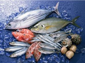 鱼吃小瓜吗,揭秘鱼儿是否食用小瓜的奥秘