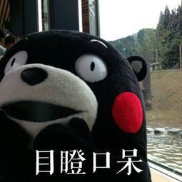 吃瓜群众好悠闲