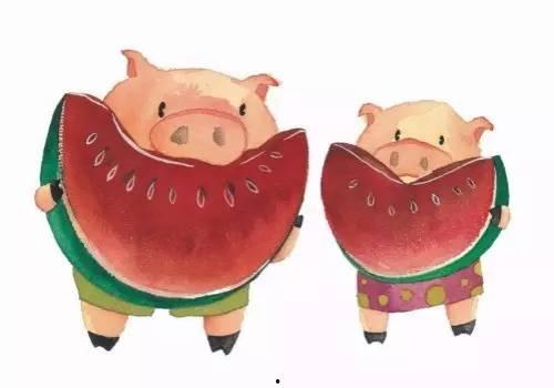 吃瓜影视大全 猪,吃瓜影视大全中的喜剧宠儿