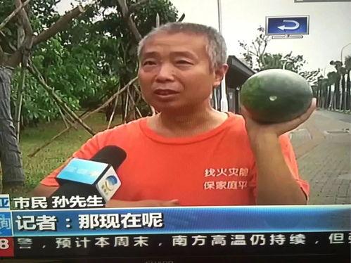 热门吃瓜事件链接,最新吃瓜事件深度解析