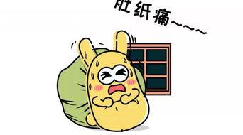 带你吃瓜猿,揭秘网络红人的崛起之路