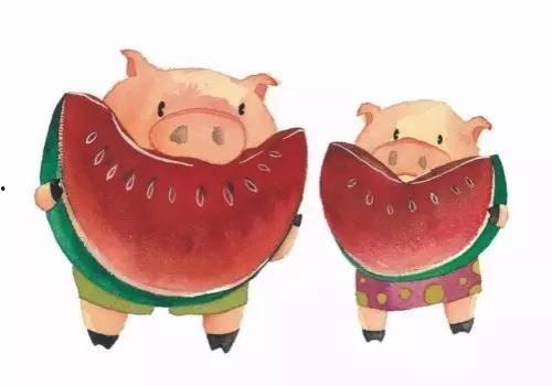 猪姐吃瓜,揭秘娱乐圈幕后真相