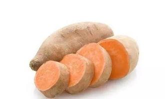 吃瓜少女魏淑芬吃蕃薯,吃瓜少女的甜蜜邂逅