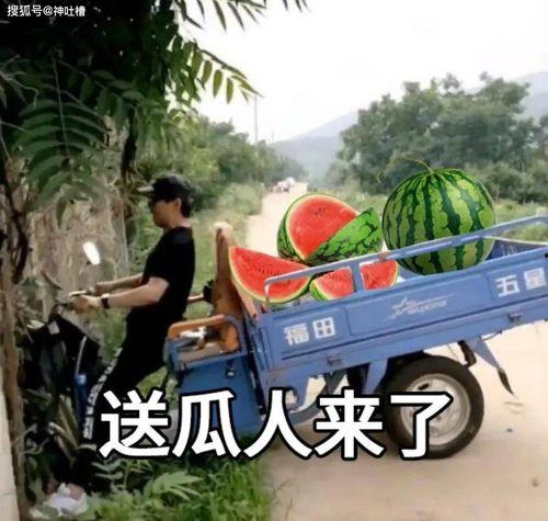 今天晚上吃瓜,揭秘娱乐圈最新热点事件