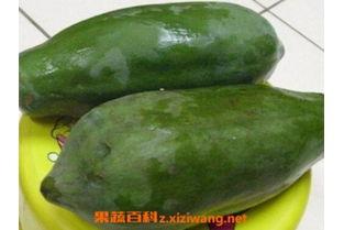 吃小瓜能吃籽吗,籽儿去哪儿了？揭秘瓜籽的奇妙旅程