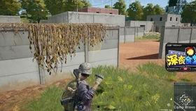 吃瓜探长群聊,揭秘娱乐圈幕后故事