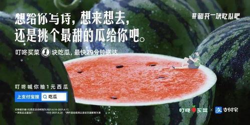 晚上吃瓜文案怎么写,揭秘晚间吃瓜的乐趣与魅力