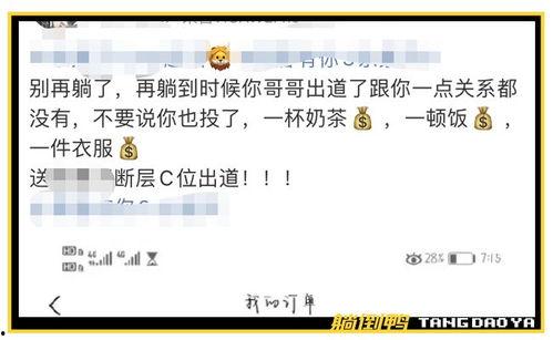 饭圈吃瓜观众,揭秘吃瓜观众的狂欢世界