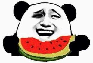 轩轩吃瓜群众,揭秘娱乐圈幕后故事