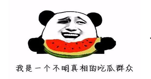 吃瓜今天