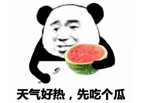 付费吃瓜表情包